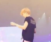 网红bog,揭秘网络红人的崛起之路